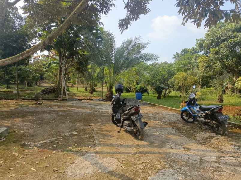 dijual tanah ciracas kiarapedes