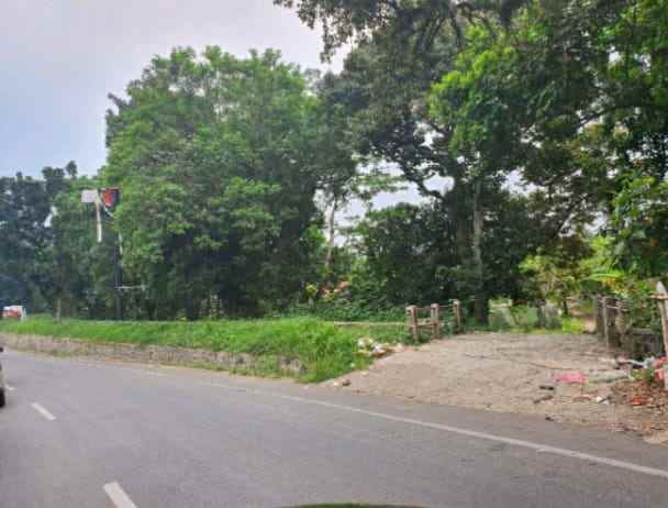 dijual tanah dekat kampus ipb dramaga bogor