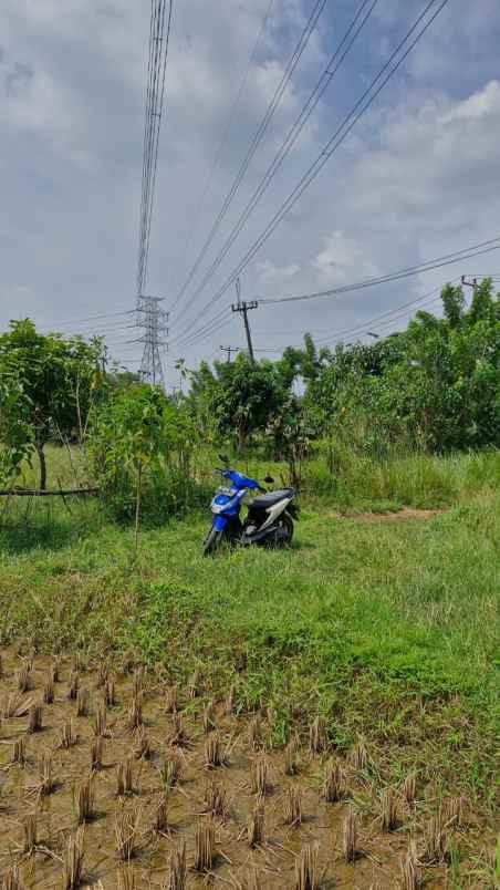 dijual tanah desa cilangkara rt 07 rw