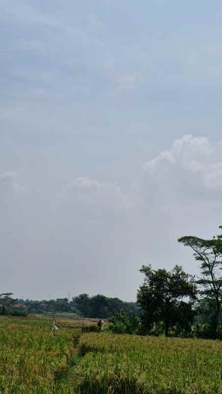 dijual tanah desa cilangkara rt 07 rw