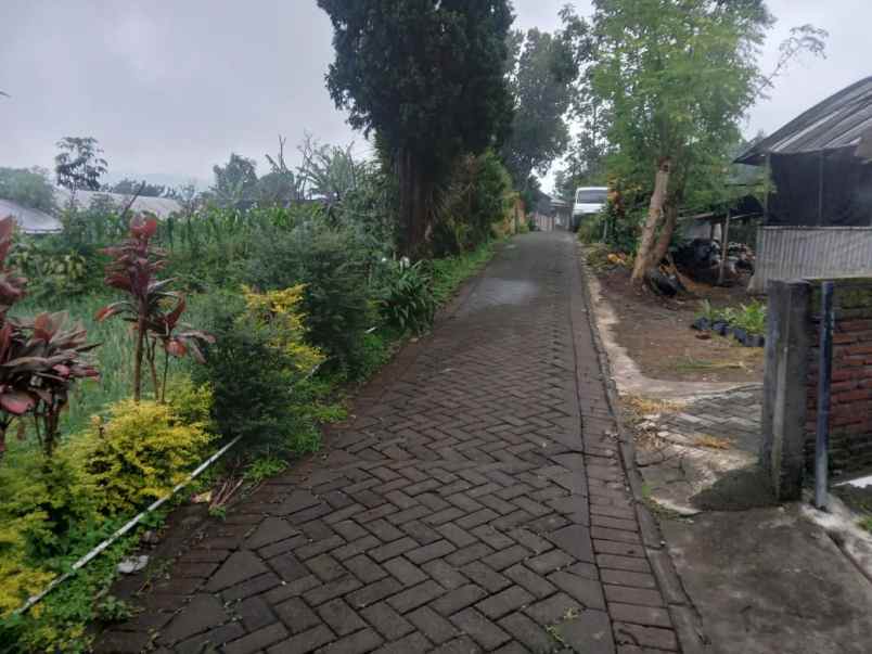 dijual tanah di gintung bulukerto