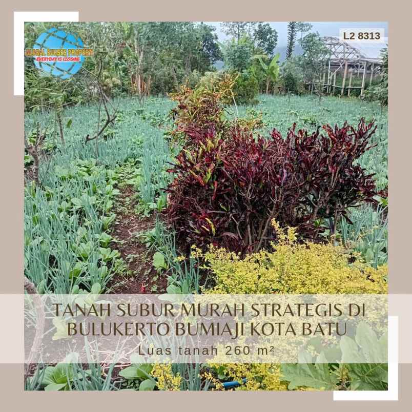 dijual tanah di gintung bulukerto