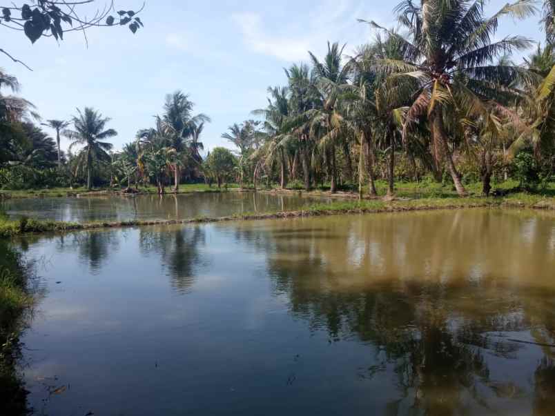 dijual tanah dijual tanah di desa tulo