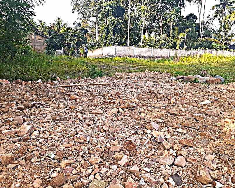 dijual tanah dijual tanah yogyakarta di