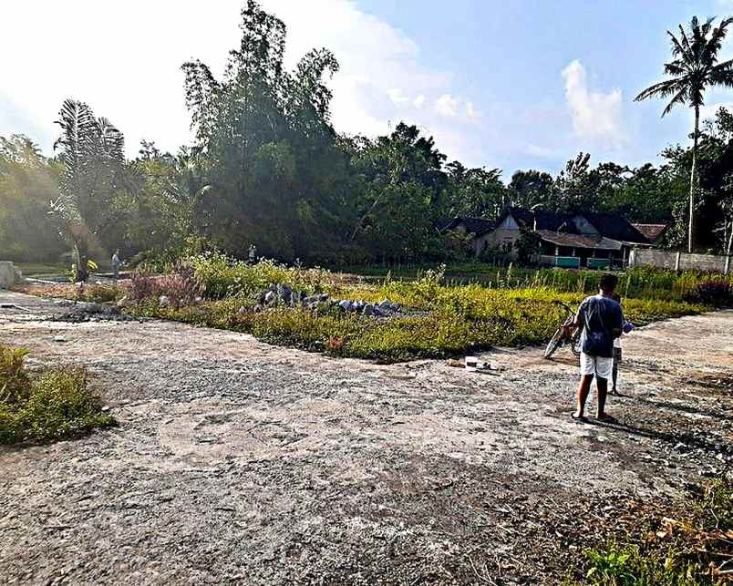 dijual tanah dijual tanah yogyakarta di