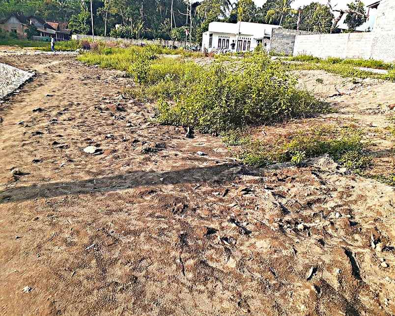 dijual tanah dijual tanah yogyakarta di