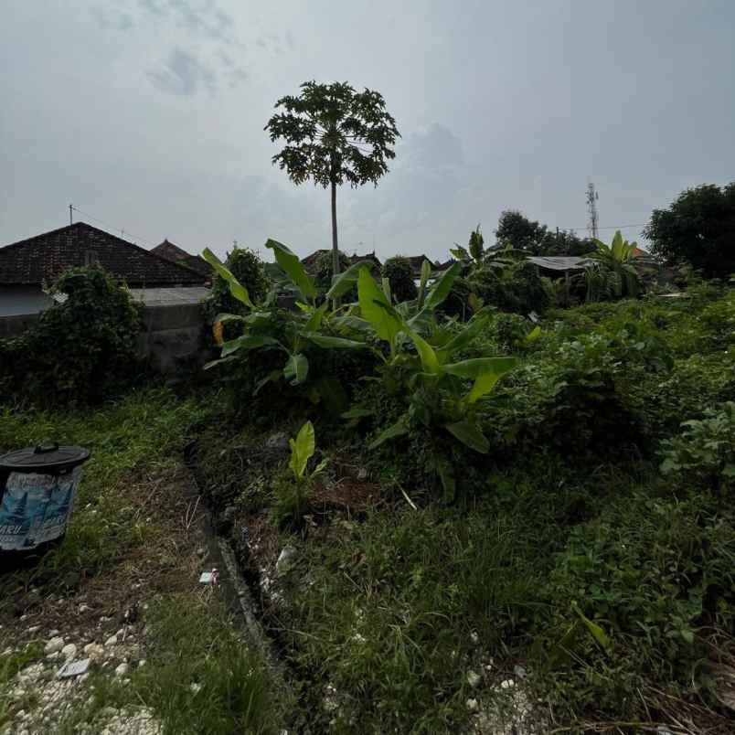 dijual tanah gandamayu pemaron