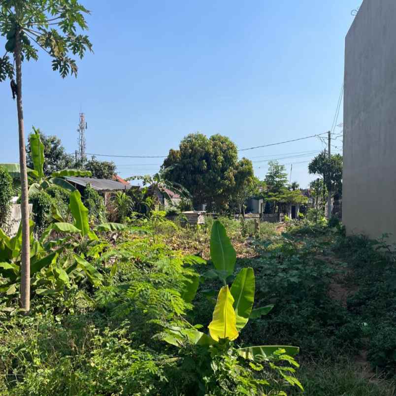 dijual tanah gandamayu pemaron