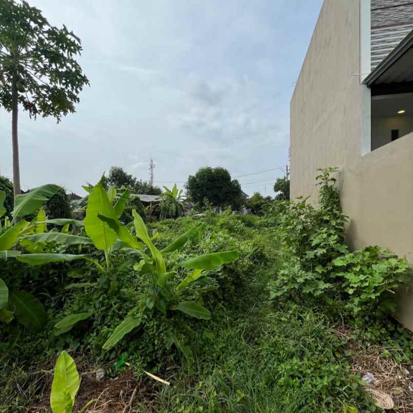 dijual tanah gandamayu pemaron