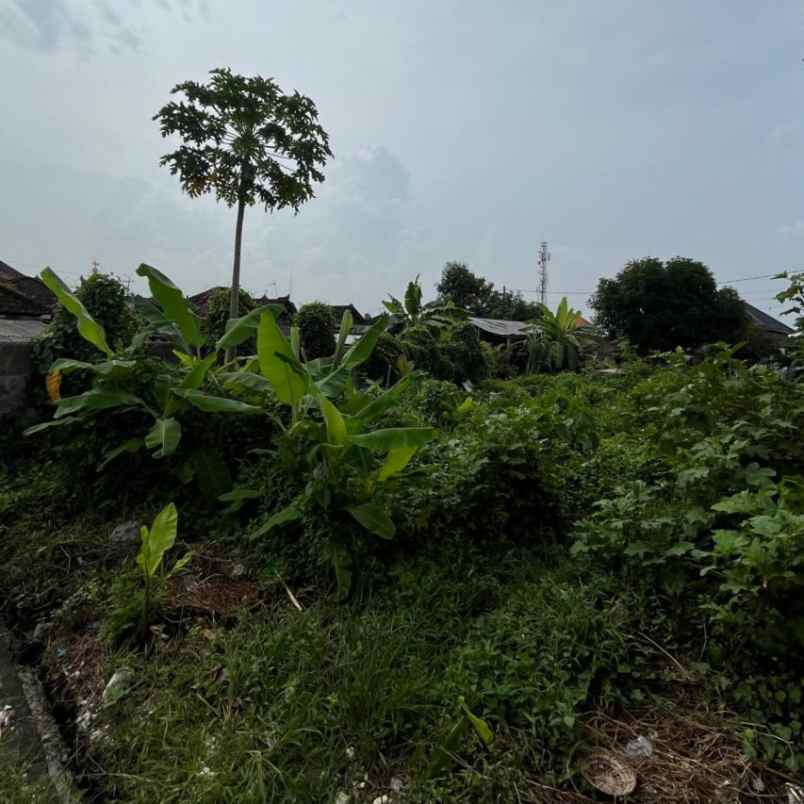 dijual tanah gandamayu pemaron