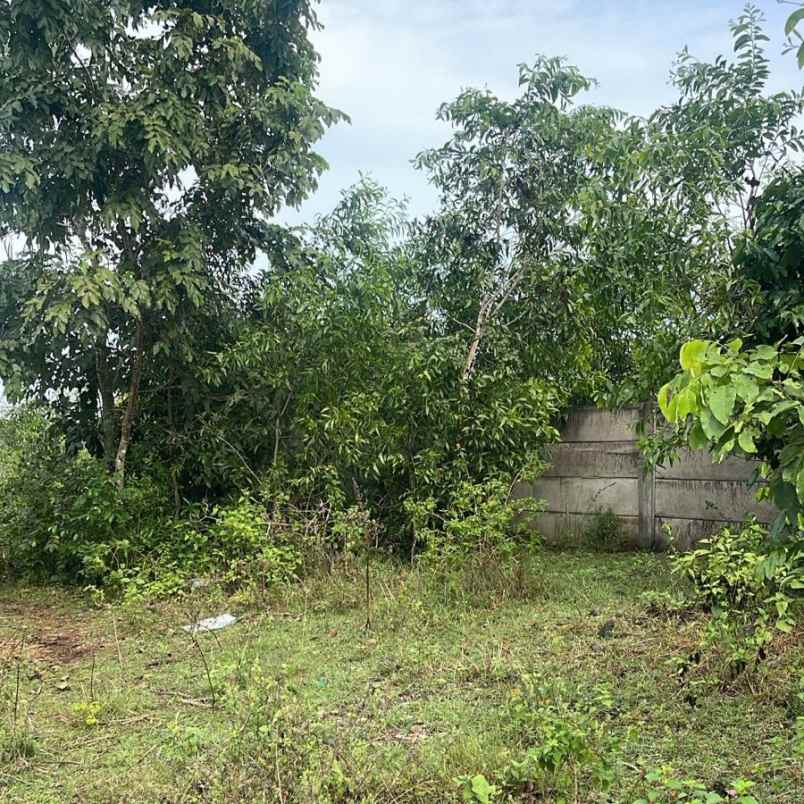 dijual tanah goa gong
