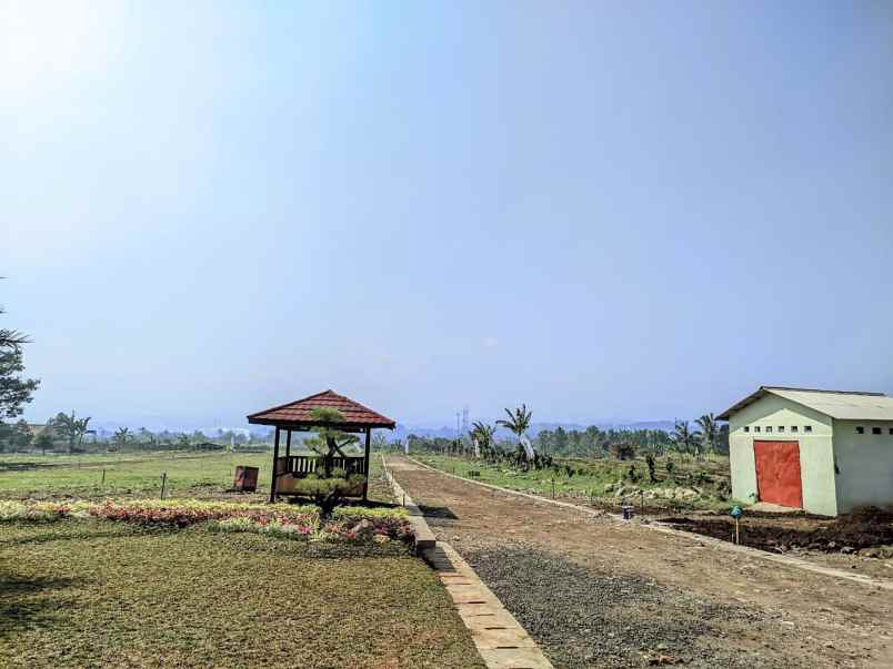 dijual tanah jalan cigombong