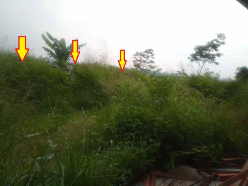 dijual tanah jalan cikuya desa lagadar