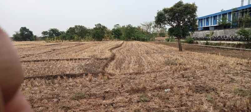 dijual tanah jalan ligung