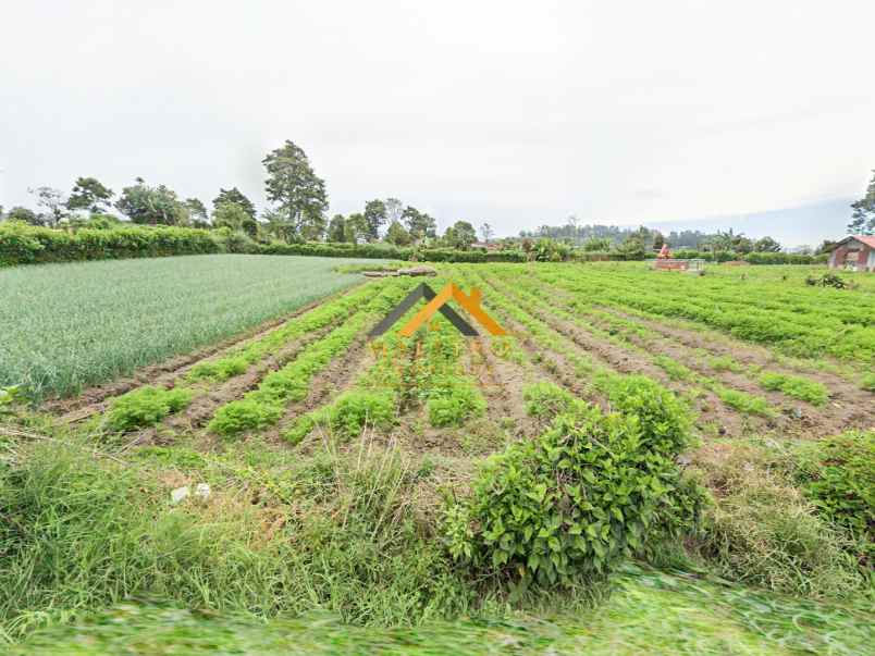 dijual tanah jalan merdeka karo