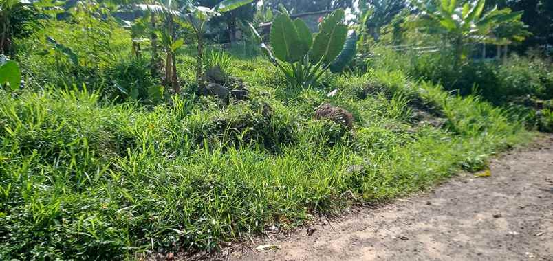 dijual tanah jalan pasir impun