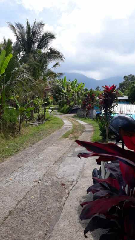 dijual tanah jatiluwih penebal tabanan bali