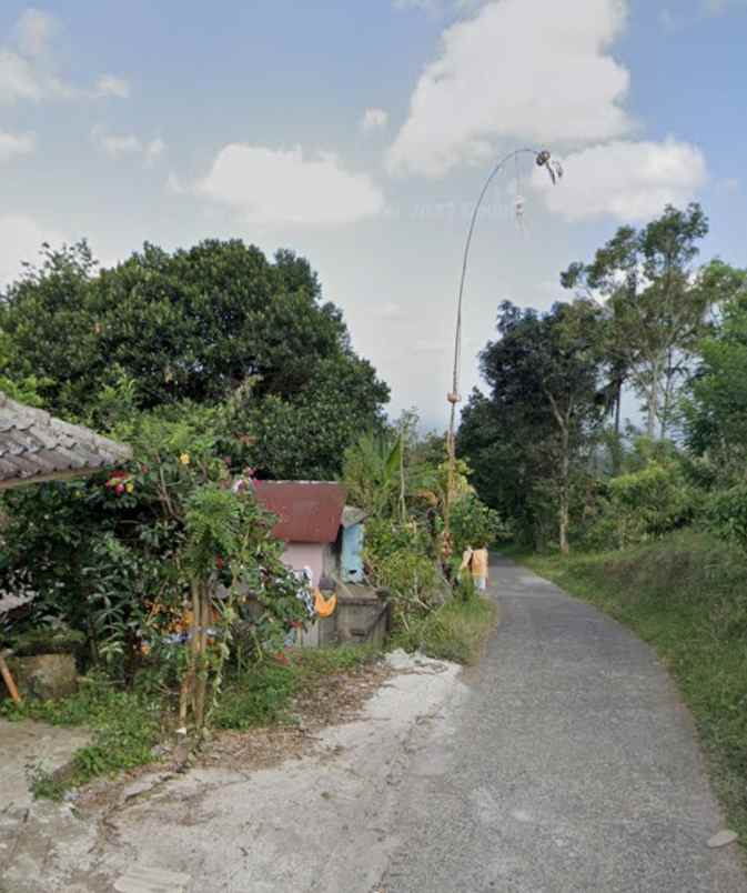 dijual tanah jatiluwih tabanan bali