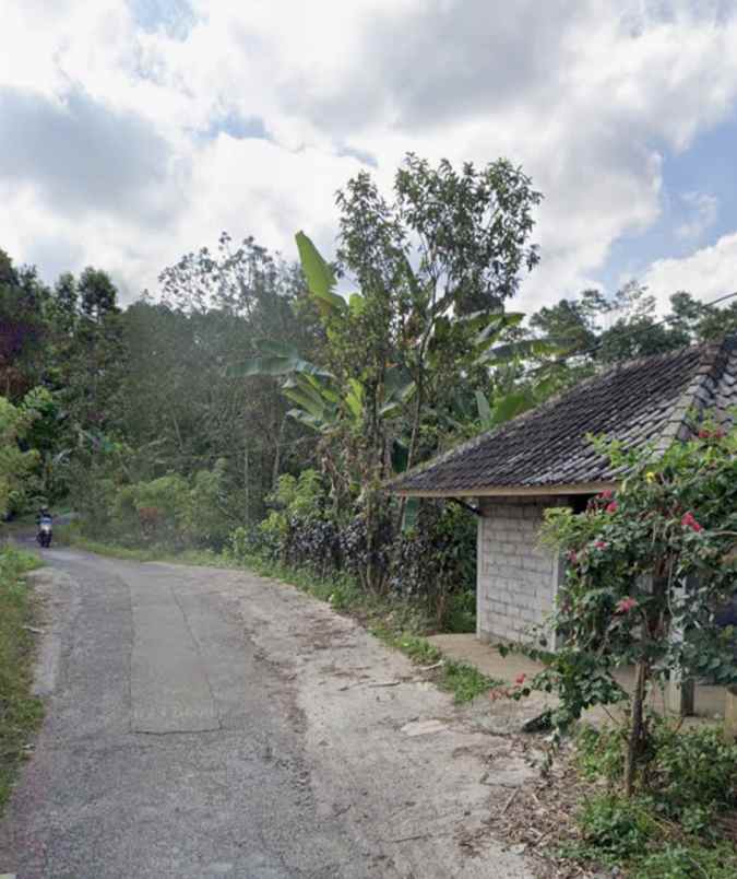 dijual tanah jatiluwih tabanan bali