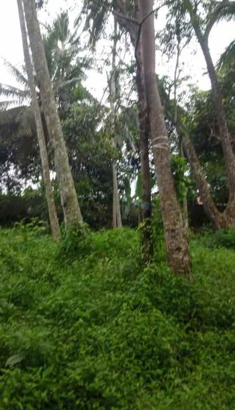 dijual tanah jl bhayangkara gn puyuh