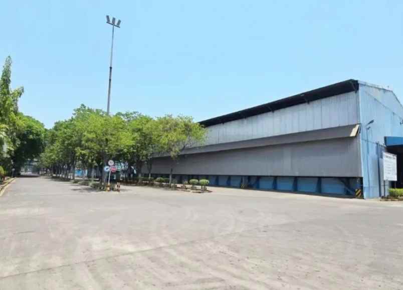 dijual tanah jl gajah mada desa