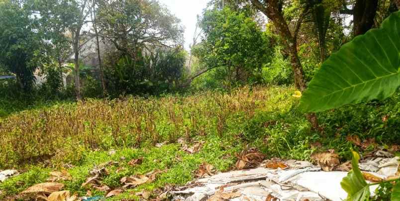 dijual tanah jl jampang