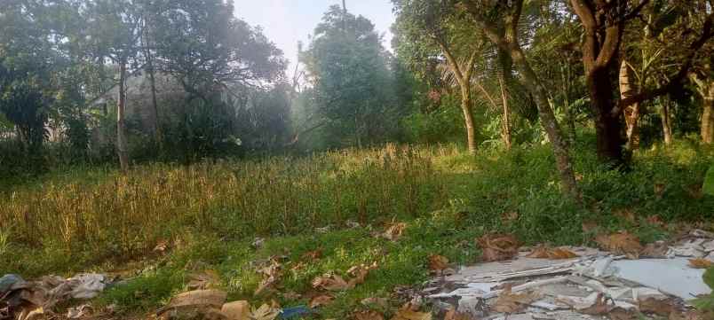 dijual tanah jl jampang