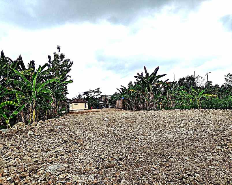 dijual tanah jl jejeran pleret bantul