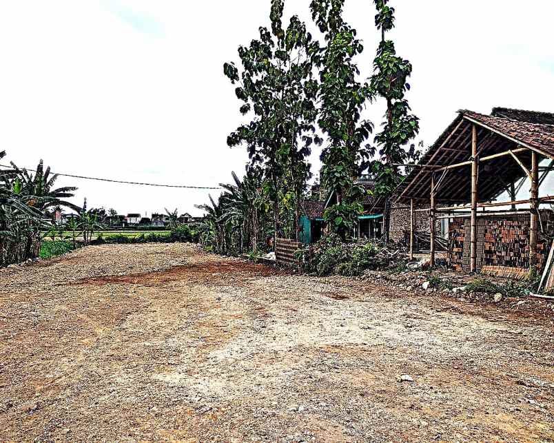 dijual tanah jl jejeran pleret bantul