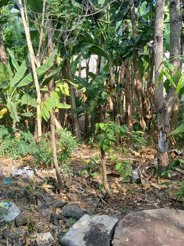 dijual tanah jl kebo iwo selatan
