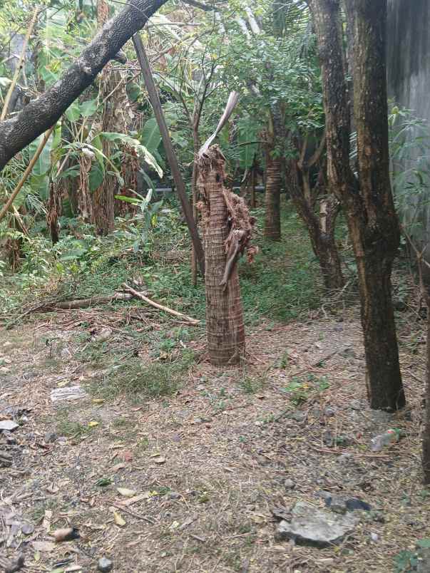 dijual tanah jl kebo iwo selatan