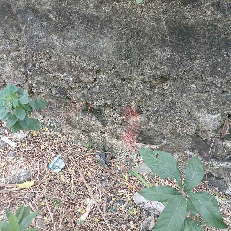 dijual tanah jl kebo iwo selatan