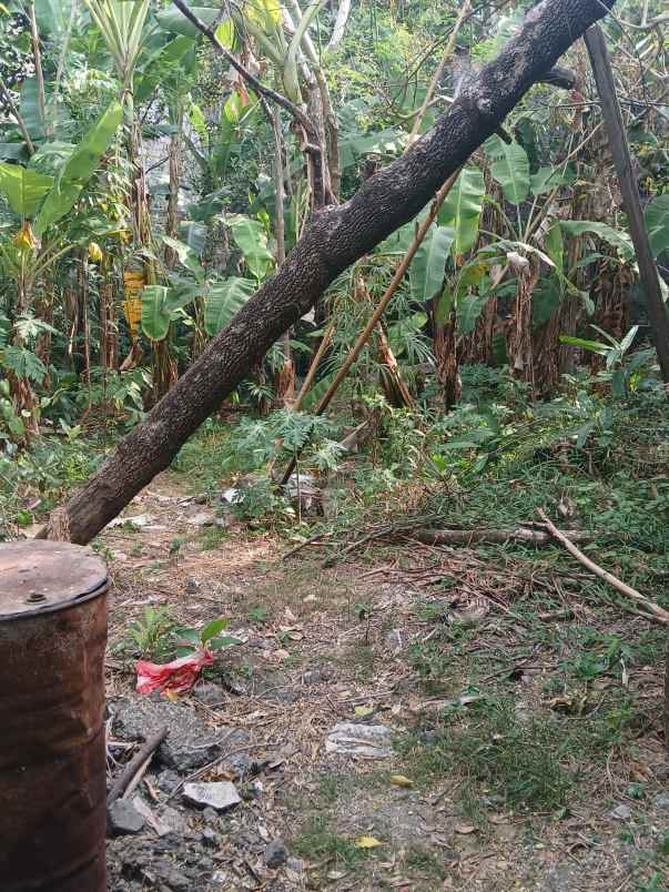 dijual tanah jl kebo iwo selatan