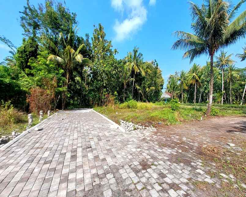 dijual tanah jl kyai ronggo tawangsari