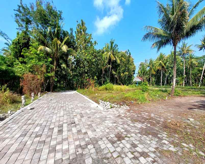 dijual tanah jl kyai ronggo tawangsari