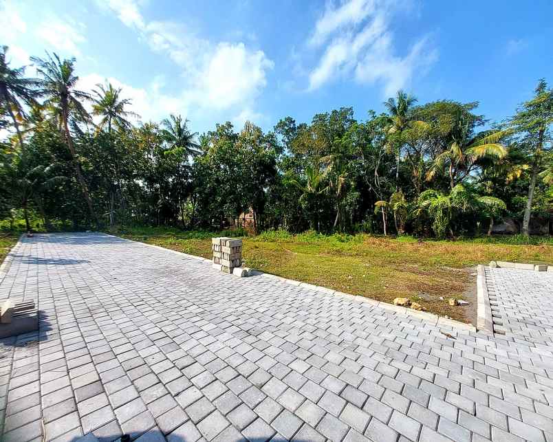 dijual tanah jl kyai ronggo tawangsari