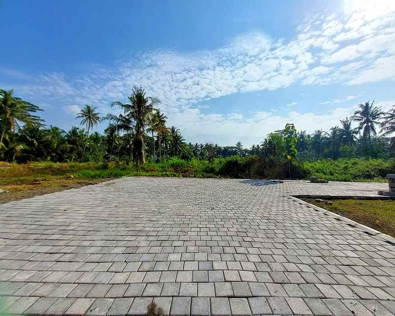 dijual tanah jl kyai ronggo tawangsari