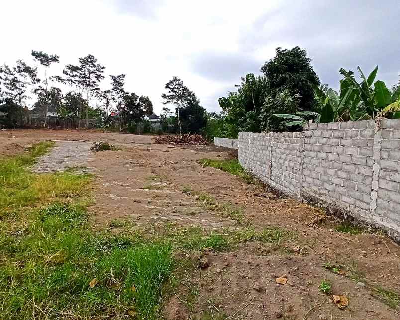 dijual tanah jl palagan sariharjo