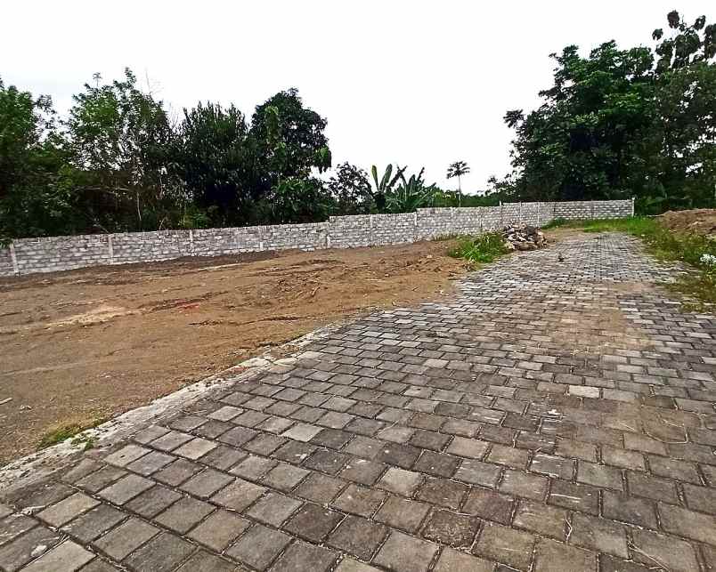 dijual tanah jl palagan sariharjo