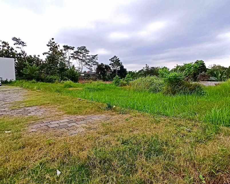 dijual tanah jl palagan sariharjo