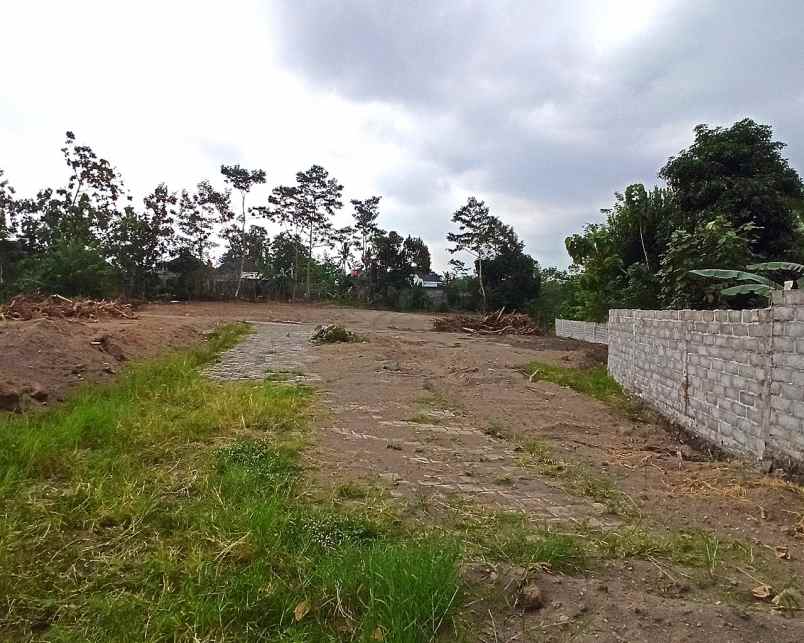 dijual tanah jl palagan sariharjo