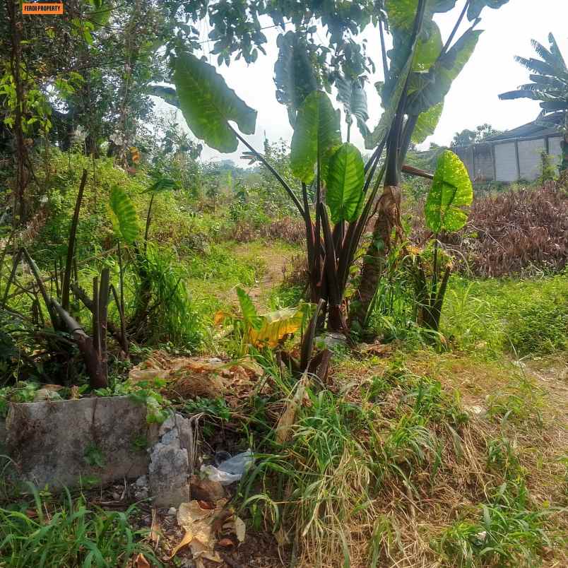 dijual tanah jln brigade gunung putri