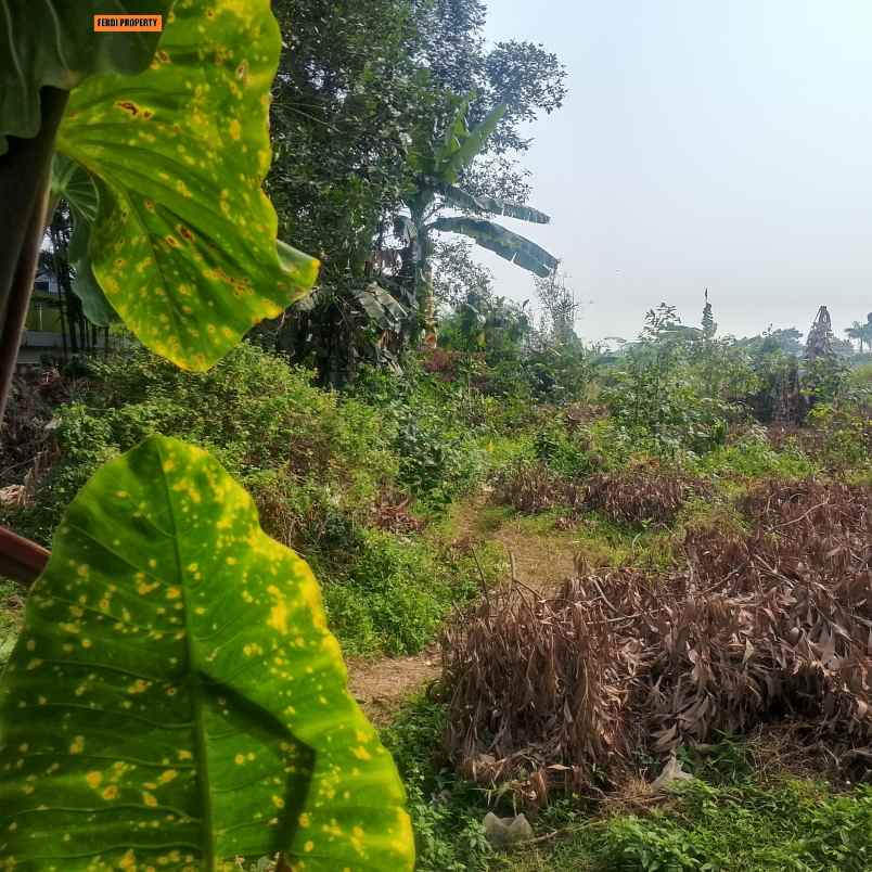 dijual tanah jln brigade gunung putri
