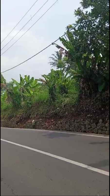 dijual tanah jln ciloa mekarsari