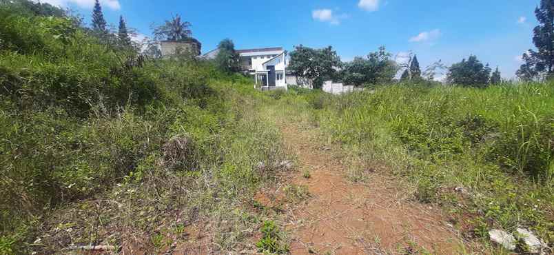 dijual tanah kampung padi