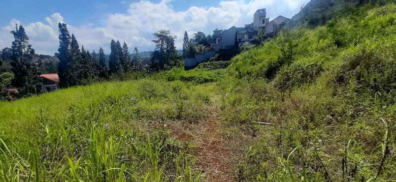 dijual tanah kampung padi