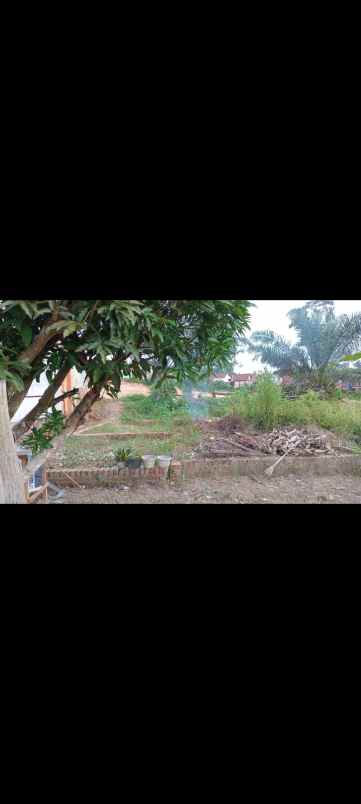 dijual tanah kavling