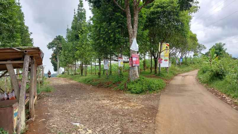 dijual tanah kebun lokasi nagrak cibadak sukabumi