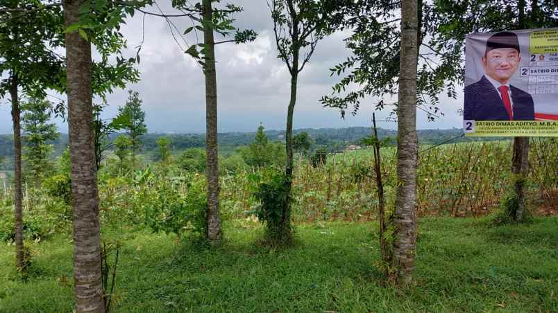 dijual tanah kebun lokasi nagrak cibadak sukabumi