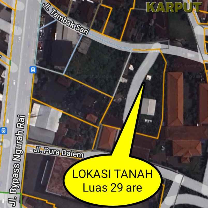 dijual tanah kelan tuban